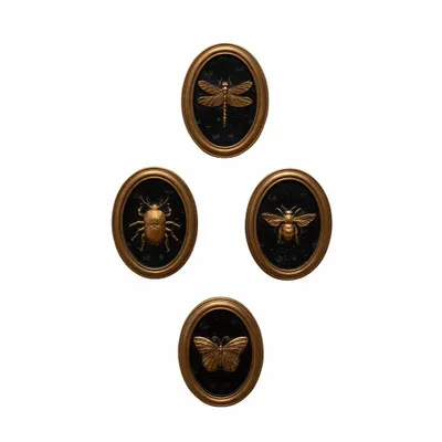 Autres décorations murales - S/4 cadres insectes Entomologie - CHEHOMA
