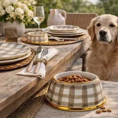 Assiettes au quotidien - Dolcevita - ARCUCCI CERAMICS