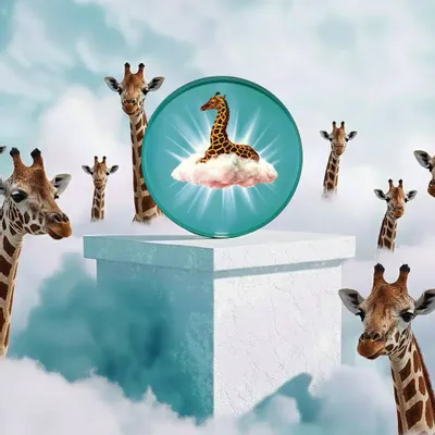 Decorative objects - Curiosito Collection - GANGZAÏ