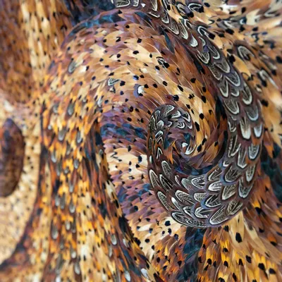 Pièces uniques - Oeuvre murale en plumes - MÉRI-LI