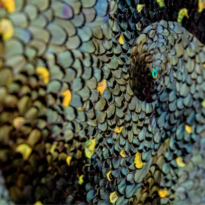 Pièces uniques - Oeuvre murale en plumes - MÉRI-LI