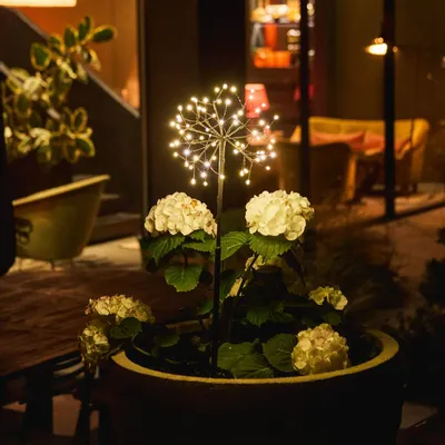 Outdoor LED modules - Mini Dandelion - LIGHT STYLE LONDON