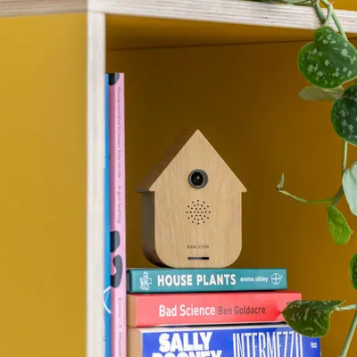 Horloges - Sound Box Modern Cuckoo - PRESENT TIME