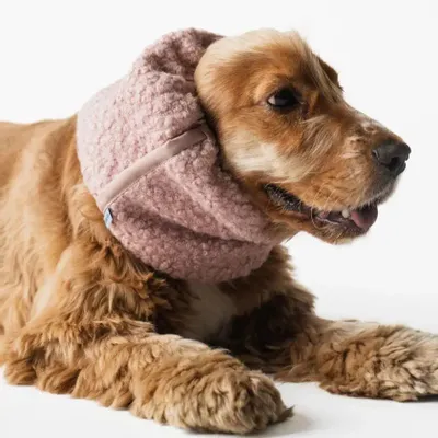 Accessoires animaux - SNOOD POUR CHIEN - LOU AND CO
