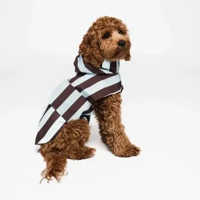 Pet accessories - DOG RAINCOAT - LOU AND CO