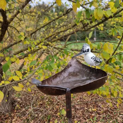 Accessoires de déco extérieure - tuteur feuille martin pecheur pie - TERRE SAUVAGE