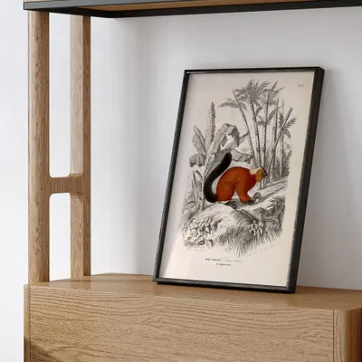 Poster - New Collection - THE DYBDAHL CO.