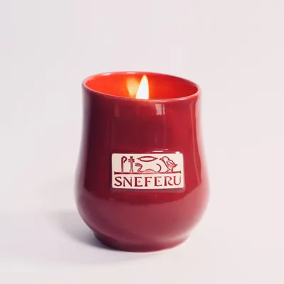 Candles - Truth Collector's Edition Scented Candle 300g - SNEFERU