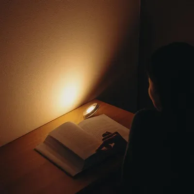 Moveable lighting - Sonnenglas® SOMO - SONNENGLAS®