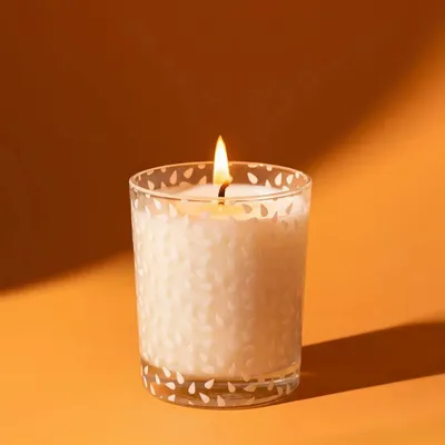 Candles - 180g Vegetable Candle Under the Fig Tree - LES LUMIERES DU TEMPS