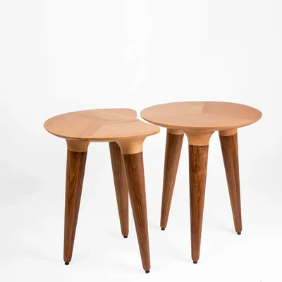 Other tables - Ameoba - Table - Beech and Walnut Wood - DAMJ