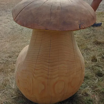 Pièces uniques - Champignons tabourets sculptés en bois - BOIS DE LION
