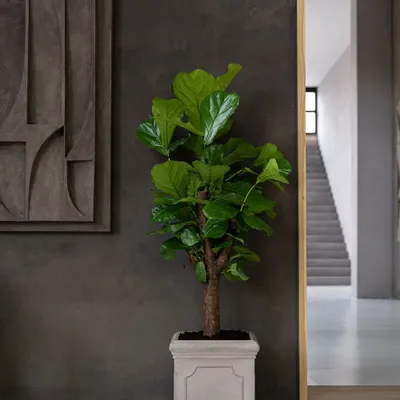 Pots de fleurs - Collection Heritage - POTTERY POTS