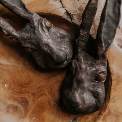 Sculptures, statuettes and miniatures - Animal Wall Sculpture - HARE - DABA DECO