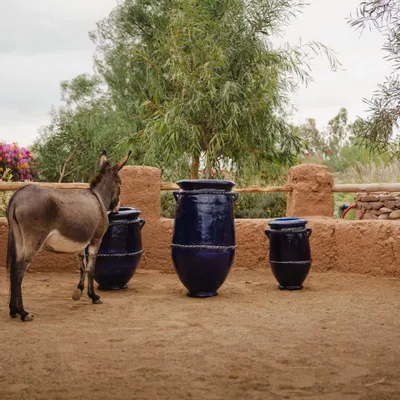 Carafes - Jarre Tamegroute bleu - LOULE INTERIEUR
