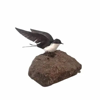 Outdoor decorative accessories - White Swallow open Wings Recycled Metal Sculpture - TERRE SAUVAGE