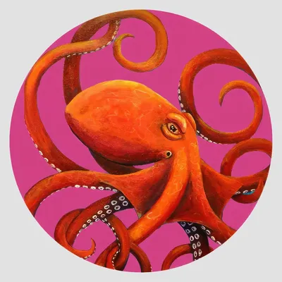Table mat - Coasters - Octopus Sottobicchiere Rotondo - #02 - FURIA LIVING
