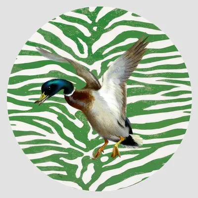 Dessous de plat - Dessous de verre - Anatra Sottobicchiere Rotondo - #06 - FURIA LIVING