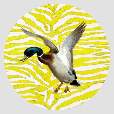 Dessous de plat - Dessous de bouteille - Anatra Sottobottiglia Rotondo - #02 - FURIA LIVING