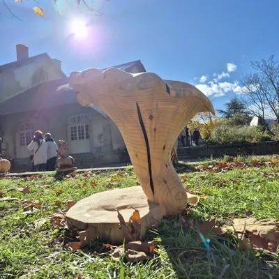 Pièces uniques - Champignons girolles tabourets sculptées en bois - BOIS DE LION