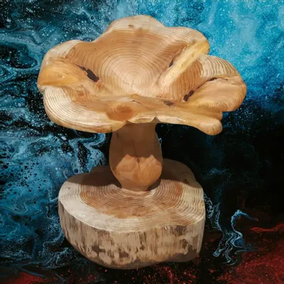 Unique pieces - Mushrooms chanterelles carved wooden stools - BOIS DE LION