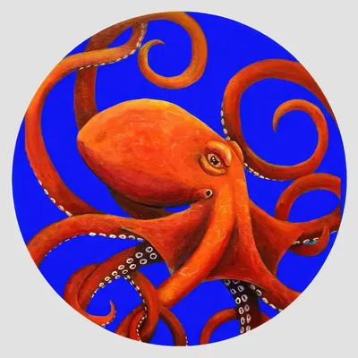 Placemats - placemats - Octopus Sottopiatto Rotondo - #04 - FURIA LIVING
