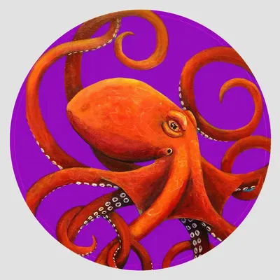 Sets de table - Sets de table - Octopus Sottopiatto Rotondo - #05 - FURIA LIVING