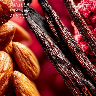 Fragrance for women & men - EAU DE PARFUM EXQUISE TENTATION 100ml - L'ATELIER PARFUM PARIS