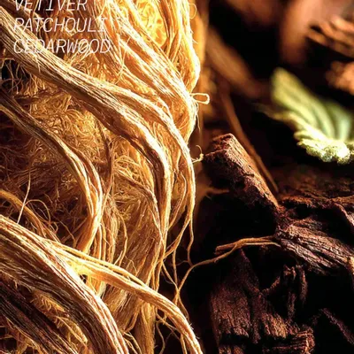 Fragrance for women & men - EAU DE PARFUM VETIVER ROYAL 100ml - L'ATELIER PARFUM PARIS