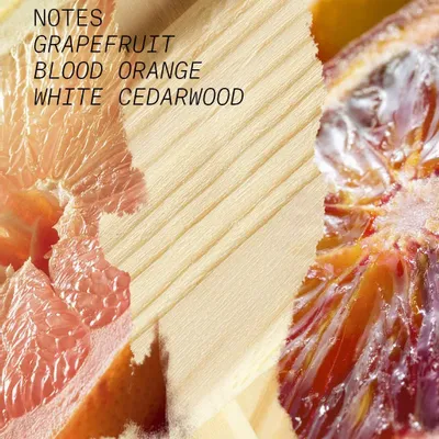 Fragrance for women & men - EAU DE PARFUM VERTE EUPHORIE 100ml - L'ATELIER PARFUM PARIS