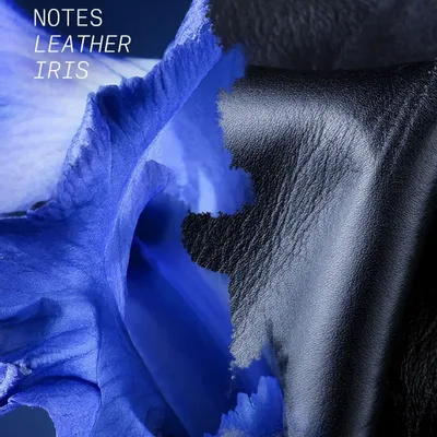 Fragrance for women & men - EAU DE PARFUM LEATHER BLACK (K)NIGHT - L'ATELIER PARFUM PARIS