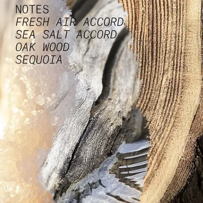 Fragrance for women & men - EAU DE PARFUM SALTY WOOD - L'ATELIER PARFUM PARIS