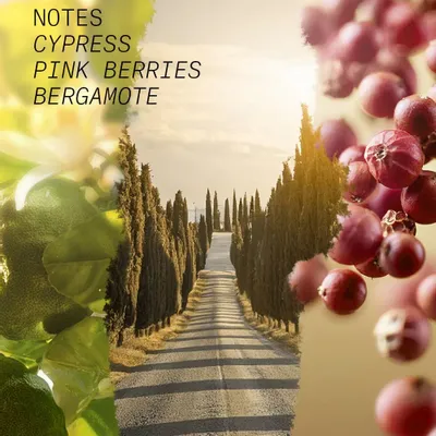 Fragrance for women & men - EAU DE PARFUM CYPRESS SHADOW - L'ATELIER PARFUM PARIS