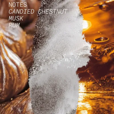 Fragrance for women & men - EAU DE PARFUM WOODYLICIOUS - L'ATELIER PARFUM PARIS