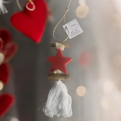 Savons - Tresse 1 Savon Etoile Fruit Rouge - FABRIQUE LOMAELLE