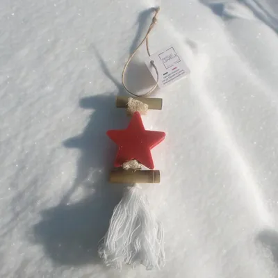 Savons - Tresse 1 Savon Etoile Fruit Rouge - FABRIQUE LOMAELLE