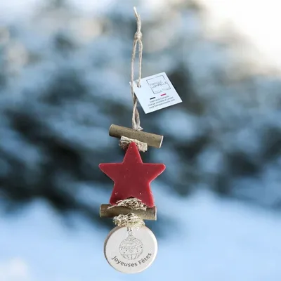 Savons - Tresse 1 Savon Etoile Fruit Rouge avec Rond Bois Gravé "boule de noël" - FABRIQUE LOMAELLE