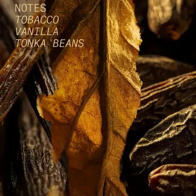 Fragrance for women & men - HAIR & BODY TOBACCO VOLUTE - L'ATELIER PARFUM PARIS