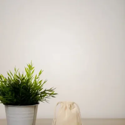 Bags and totes - Customizable organic cotton drawstring pouch – ORG 14 - MEME BERNADETTE (FEEL-INDE)