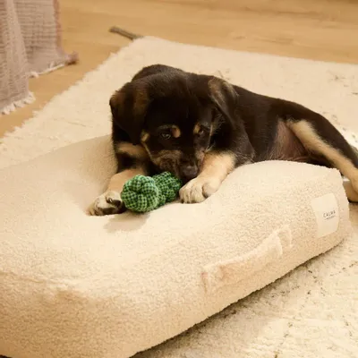 Tissus - TAICO - CALMA HOUSE