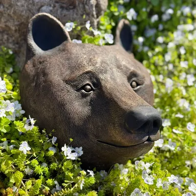 Sculptures, statuettes et miniatures - OURS - Sculpture murale - DABA DECO