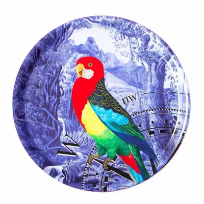 Outdoor decorative accessories - Parrot and Rose of the Winds serving tray - PARADISIO IMAGINARIUM