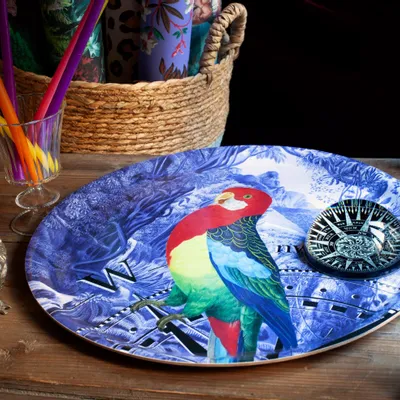 Outdoor decorative accessories - Parrot and Rose of the Winds serving tray - PARADISIO IMAGINARIUM
