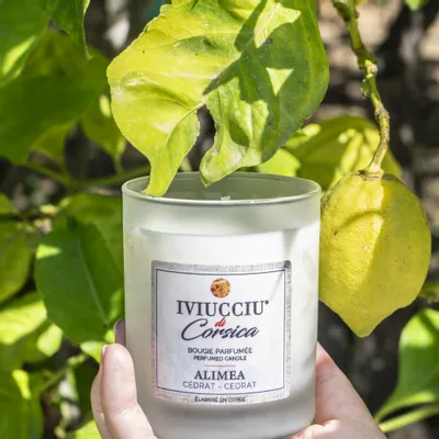Bougies - Bougie Cédrat - IVIUCCIU DI CORSICA
