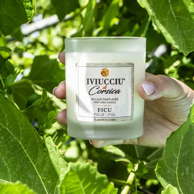 Bougies - Bougie Figue - IVIUCCIU DI CORSICA