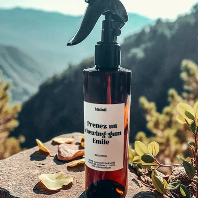 Home fragrances - Room mist - Take a piece of Emile chewing gum - Eucalyptus scent - 250ml - MUISTI