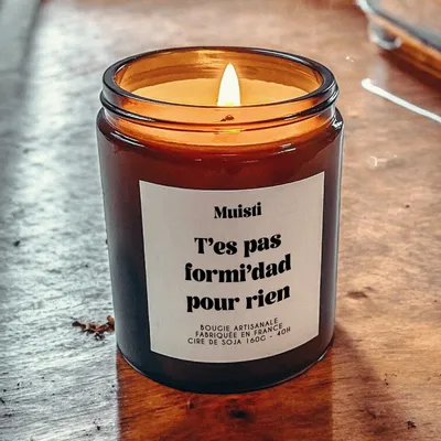 Objets de décoration - Bougie Parfumée - T'es pas formi'dad pour rien - Musc blanc – 160g - MUISTI
