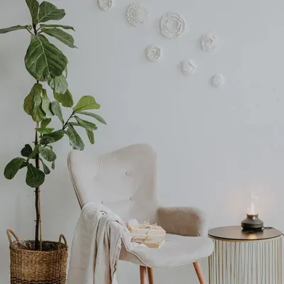 Fresques décoratives - Ensemble de 10 décorations murales en plâtre - DABA DECO