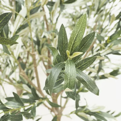 Floral decoration - Artificial olive tree, white plastic pot - LIGNE DÉCO