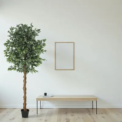 Floral decoration - Artificial ficus, black plastic pot - LIGNE DÉCO